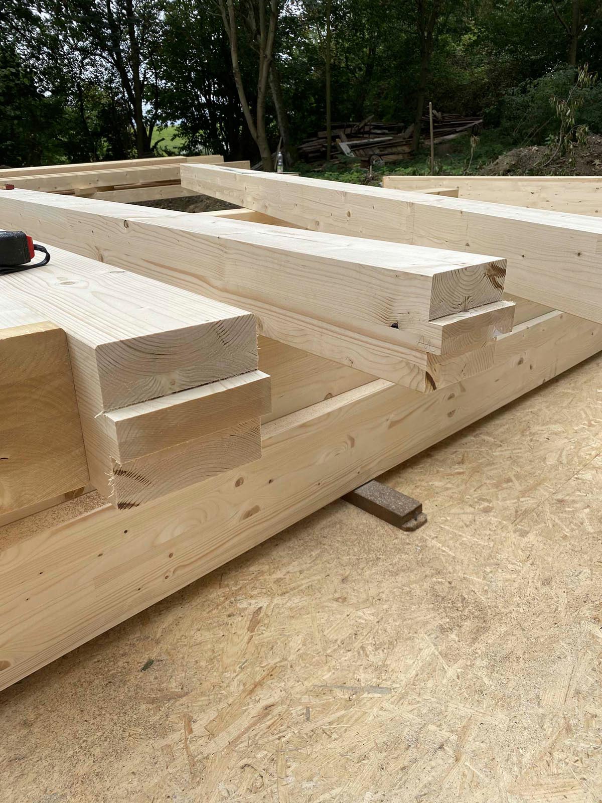 Holzskeletthaus - fertige Zapfen für das erste Portalgestell Holzskeletthaus - fertige Zapfen für das erste Portalgestell