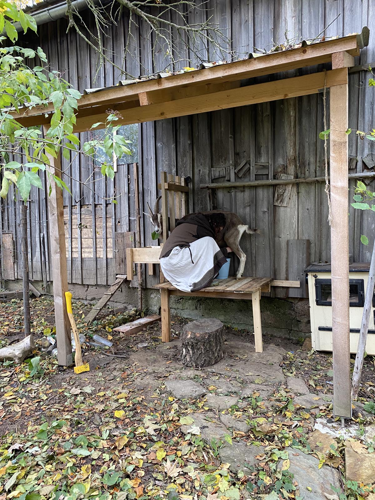 noch etwas angehoben noch etwas angehoben