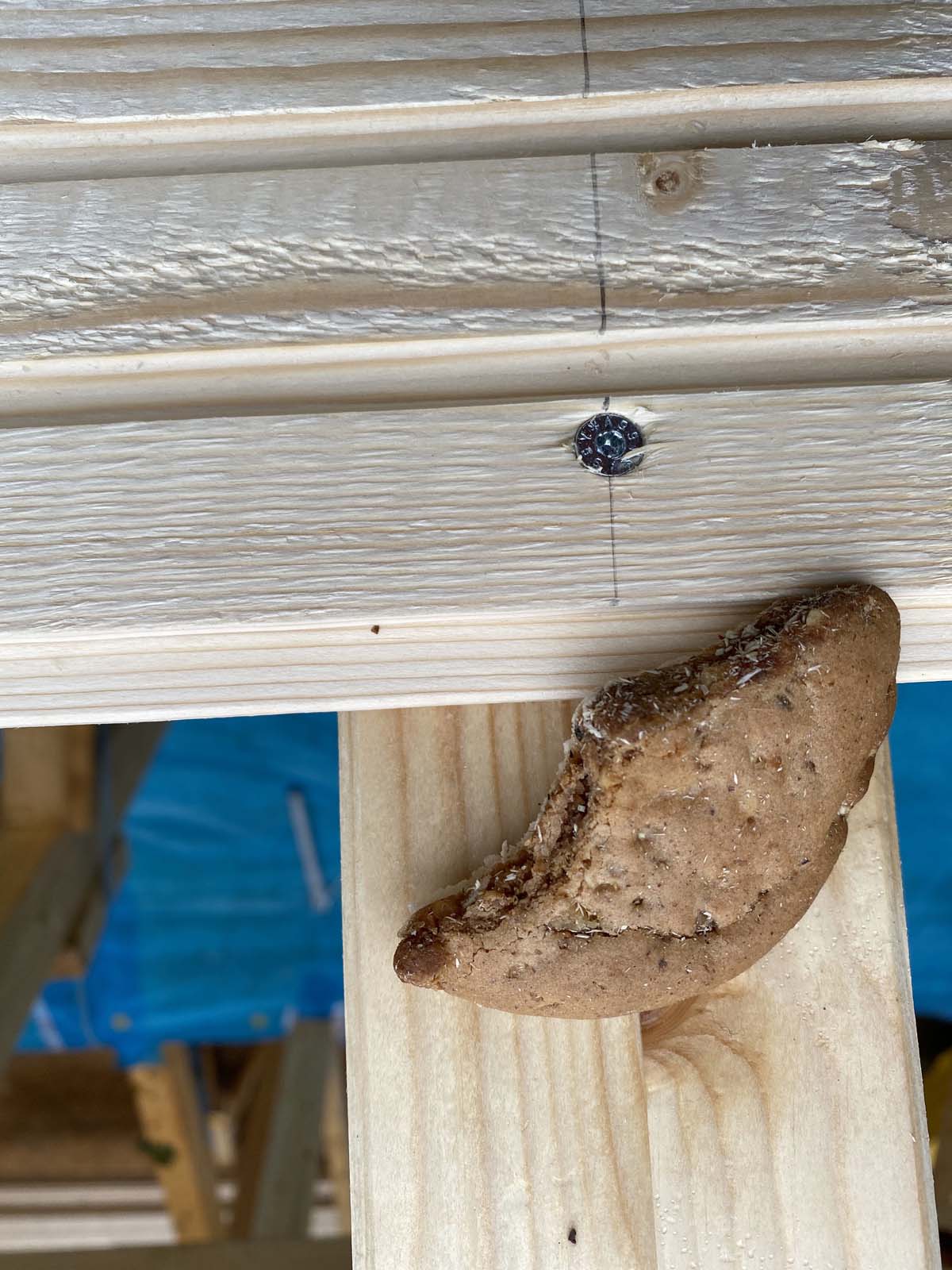 Holzskelettbau - FRANK-Lebkuchen Holzskelettbau FRANK-Lebkuchen
