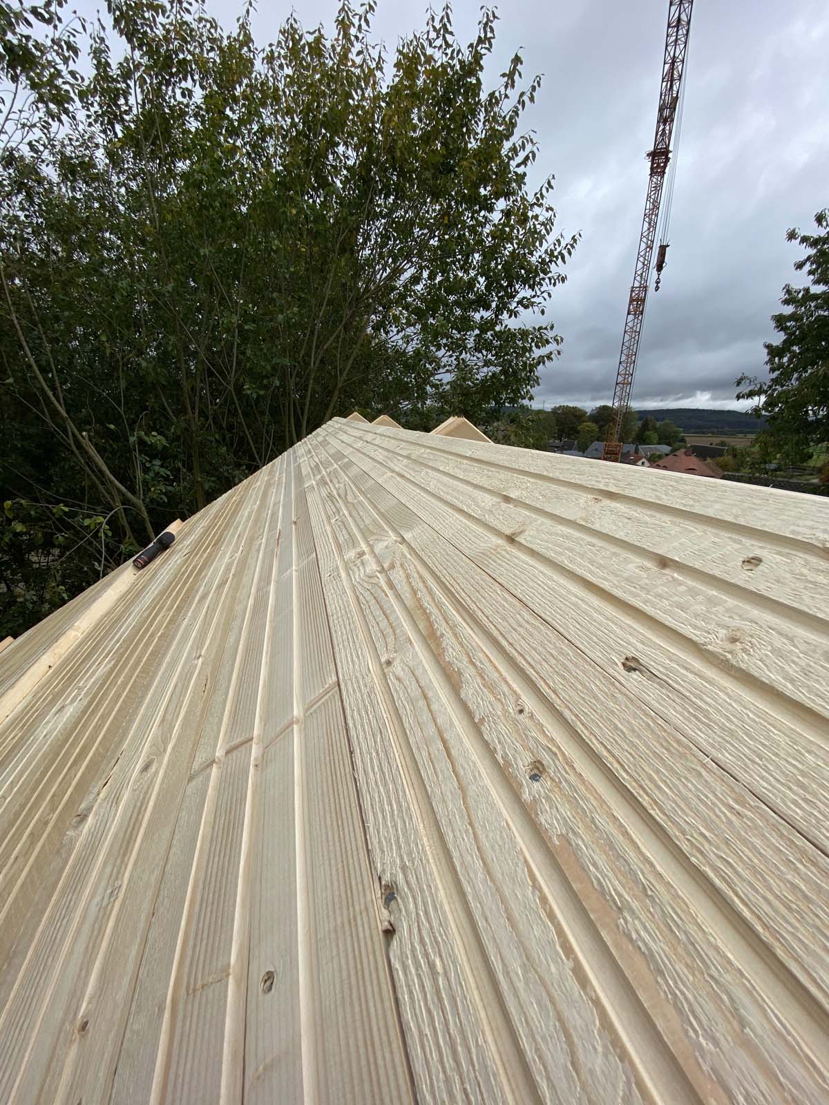 Holzskelettbau - Dachschalung Nord Holzskelettbau - Dachschalung Nord