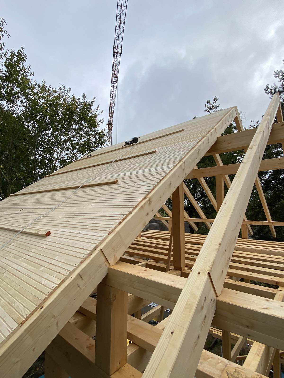 Holzskelettbau - Dachschalung Nord Holzskelettbau - Dachschalung Nord