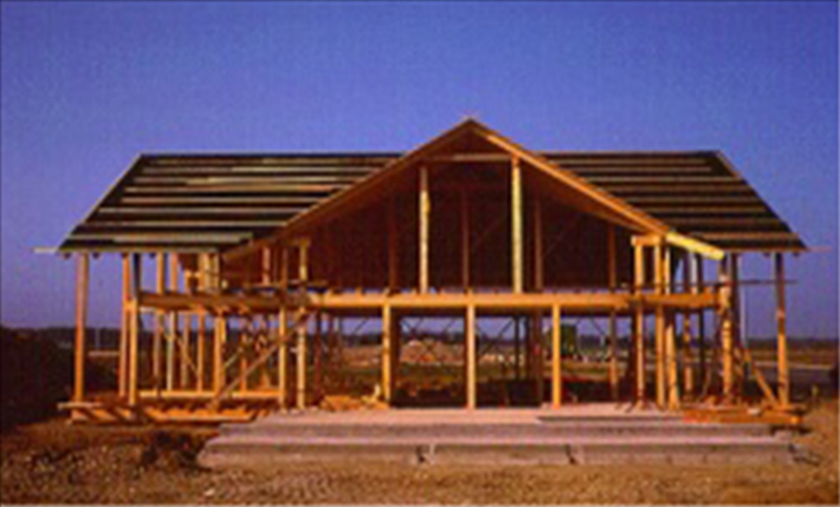 Forstern - das Skelett Forstern - das Skelett