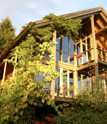 Wohnhaus in der Waldlichtung